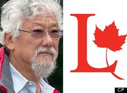Environmental crusader David Suzuki is throwing his high-profile weight behind Joyce Murray's bid to become leader of the federal Liberal party. (CP)