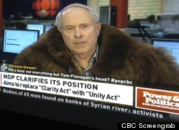 CBC Screengrab
