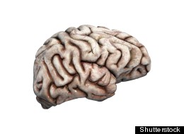 Shutterstock