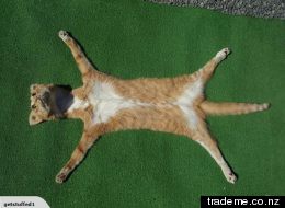 This cat skin rug sold for almost $1,000.