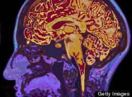 Dr Kathleen Taylor was responding to questions about advances in neuroscience (file picture)