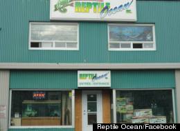 A reptile store owner under investigation for criminal negligence in the deaths of two boys after a large python escaped its enclosure had blood on his hands and shorts when police arrived at the scene in Campbellton, N.B., according to newly released court documents. (Facebook)