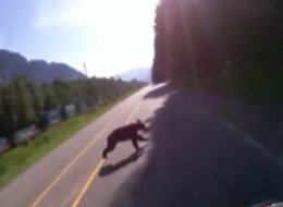 A motorcyclist's helmet cam caught a collision with a bear on a B.C. highway. (YouTube)