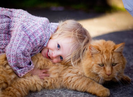 Saying goodbye to a foster pet can be difficult. (Getty Images)