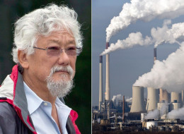 The David Suzuki Foundation says it's not too late for Canada to cut its carbon emissions to avoid the worst effects of global warming. (CP/AP)