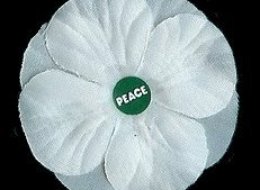 Veteran Affairs Minister Julian Fantino called white poppies