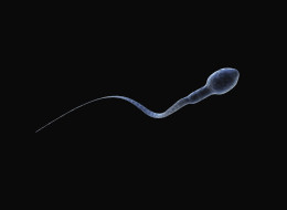 Semen contains 'mood altering' chemicals