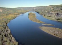 A report to be presented at a public hearing on the Site C dam says the massive project on the Peace River in northeastern B.C. would impact six mammal species that are already affected by industrial development.