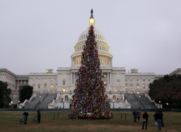The U.S. Capitol Christmas Tree is seen outside the West Front of the United States Capitol in Washington on Dec. 9, 2013. (Photo by Basri Sahin/Anadolu Agency/Getty Images)