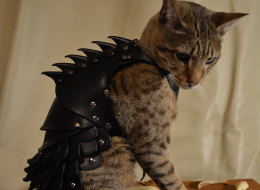 n-CAT-BATTLE-ARMOR-large.jpg