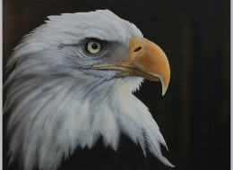 Creston Valley's Guy Hobbs has been named the B.C. Wildlife Federation's 2014 Artist of the Year for