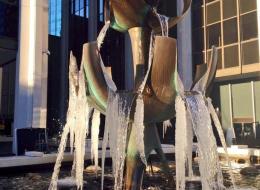 Metro Vancouver's temperature is set to dip as low as -10 degrees Celsius this Friday, possibly creating icy streets and opportunities for spectacular photos.