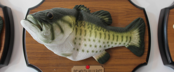 n-BIG-MOUTH-BILLY-BASS-large570.jpg