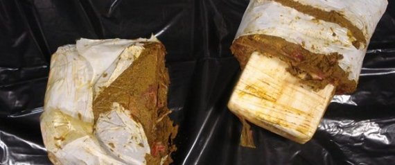 Authorities say a man arriving at John F. Kennedy International Airport attempted to bring in more than seven pounds of cocaine — hidden in frozen food.