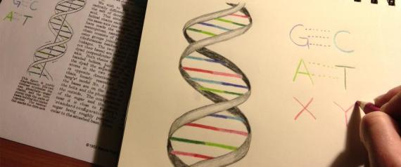 ARTIFICIAL DNA