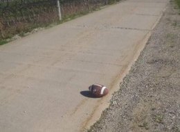 Not a stock photo. This is the actual football, people.