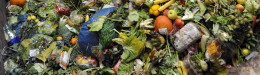 Image for UK Supermarket To Power Itself With Food Waste