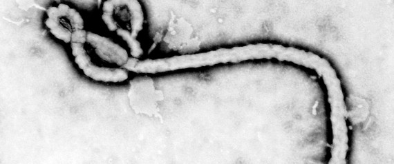 Nigerian Government Confirms Ebola Death In City Of Lagos