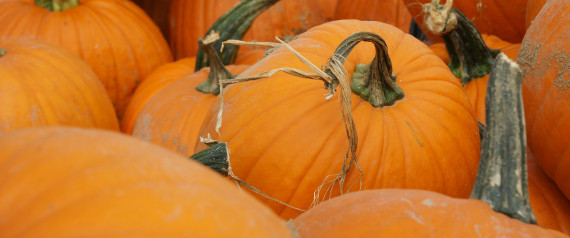 n-PUMPKINS-large570.jpg