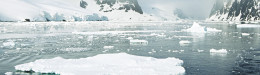 Image for Growth Of Antarctic Sea Ice A ‘Warning Bell' For Coastal Flooding