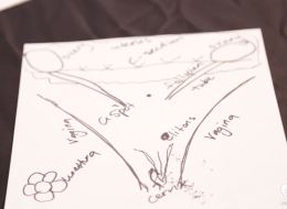 Women Attempt To Draw Vaginas, Most Are Confused