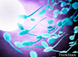 ThinkStock