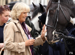 Camilla, Duchess Of Cornwall, Meets And Greets Her Fans