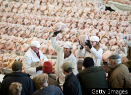 Pictures of the day from around the world