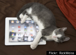 The Week In Tech News