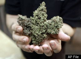 **FILE** In this Dec. 14, 2010 file photo three types of marijuana buds are shown at Med Grow Cannabis College in Southfield, Mich. Medical marijuana cannot be sold through private shops, the Michigan appeals court said Wednesday, Aug. 24, 2011, in a major decision that strikes at businesses trying to cash in on pot. A three-judge panel said the 2008 medical marijuana law, as well as the state's public health code, does not allow people to sell pot to each other, even if they're among the 99,500