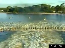 A world record 145 skiers were pulled by one boat.