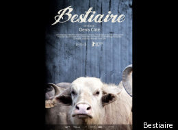 Bestiaire, de Denis Côté, en ouverture des Rendez-vous du cinéma québécois