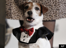 Uggie of