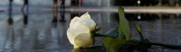Image for Διεθνής Ημέρα Μνήμης του Ολοκαυτώματος: Φόρο τιμής στα θύματα απέτισε το γερμανικό κοινοβούλιο