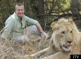 Stephen Tompkinson in Wild At Heart