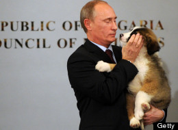 Russian Prime Minister Vladimir Putin hugs a Bulgarian shepherd dog, a present from his Bulgarian counterpart Boyko Borisov after their press conference in Sofia on November 13, 2010. (NIKOLAY DOYCHINOV/AFP/Getty Images)