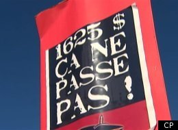 CP