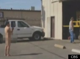 Jose Ayala can be seen in a video fighting cops and asking for a job -- all while nude.