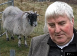 John Maciver is mourning the loss of his sheep