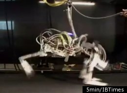 A four-legged robot known as the Cheetah lived up to its name on Monday, setting a new land speed record for legged robots by running at 18 mph (29 kph) on a treadmill at a laboratory in Massachusetts.