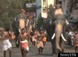 Gopi Kannan (right) has won the annual elephant race at Guruvayur Temple in India's southern Kerala state for nine years in a row.