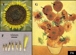 Who know post-impressionism was so scientifically accurate?