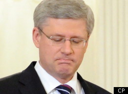 A new poll suggests the federal NDP is enjoying a big bounce in popularity since choosing Thomas Mulcair as leader. (CP)