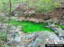 Soapstone Valley's stream was running green on Tuesday evening.