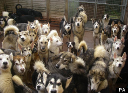 The family were said to be living amid a