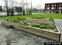 The beds from this North End sensory garden are being moved to help expand a similar garden at Scripps Park in Detroit's Woodbridge neighborhood.