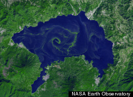 The metabolism strategy of Earth's first life was the foundation for later splits on the tree of life, including the first major split between the ancestors of blue green algae (shown here in Guatemala's Lake Atitlán)