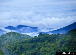 Shutterstock