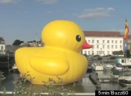 This giant rubber duck is on a mission to sail around the world spreading peace and goodwill.