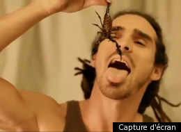 Capture d'écran
